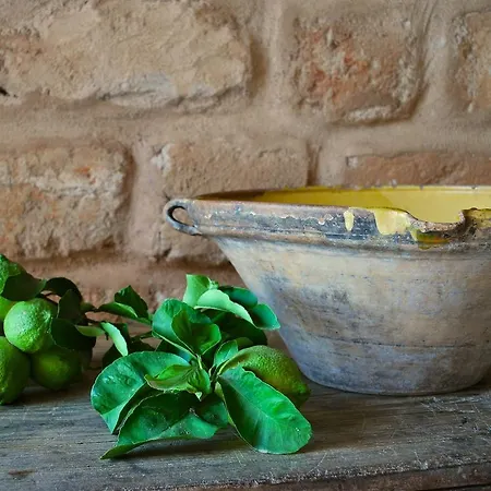 Alojamento de Acomodação e Pequeno-almoço Dimora Cala Del Pozzo